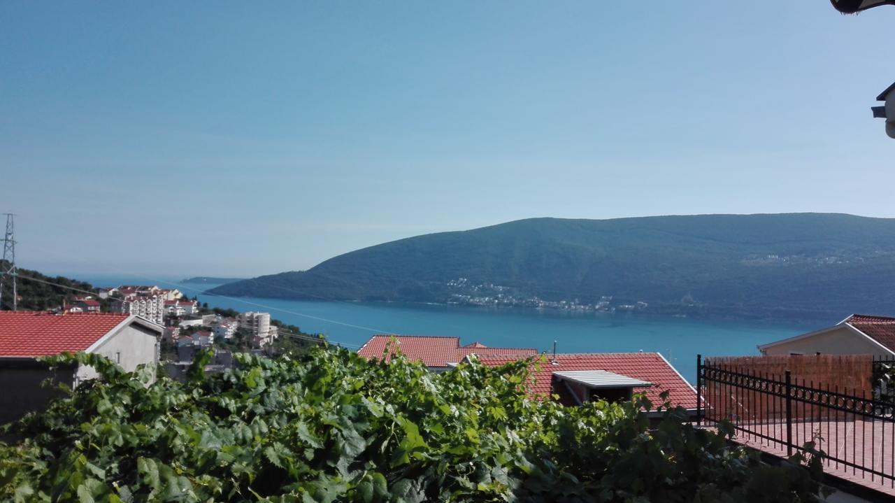 Porodicni